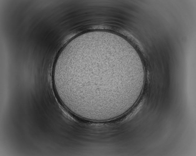 X0000086791033200705111811