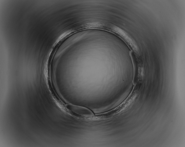 X0000086791034200705111811