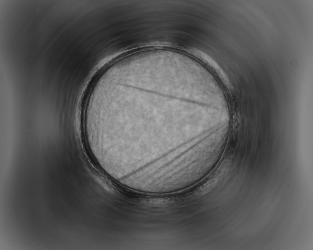 X0000086791035200705111811