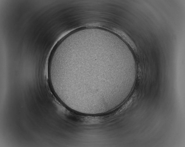 X0000086791036200705111811