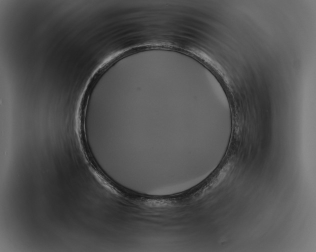 X0000086791037200705111811