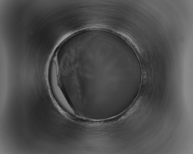 X0000086791038200705111811