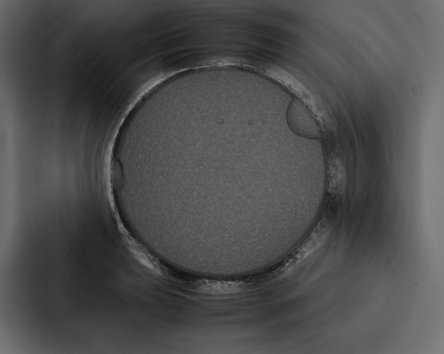 X0000086791039200705111811