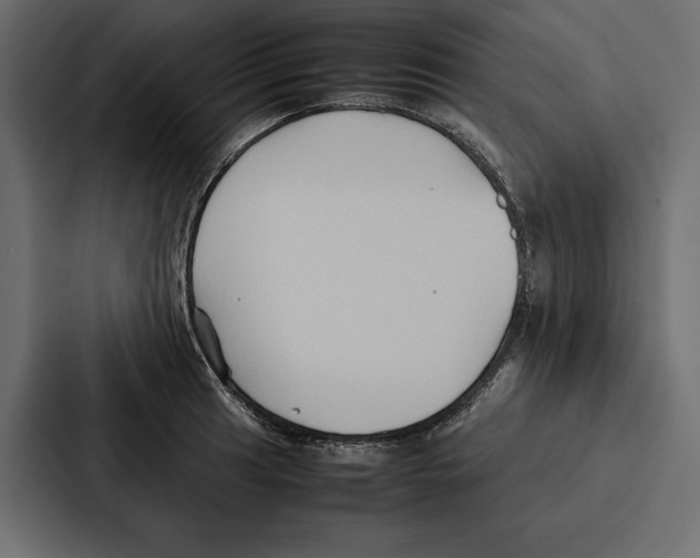 X0000086791041200705111811