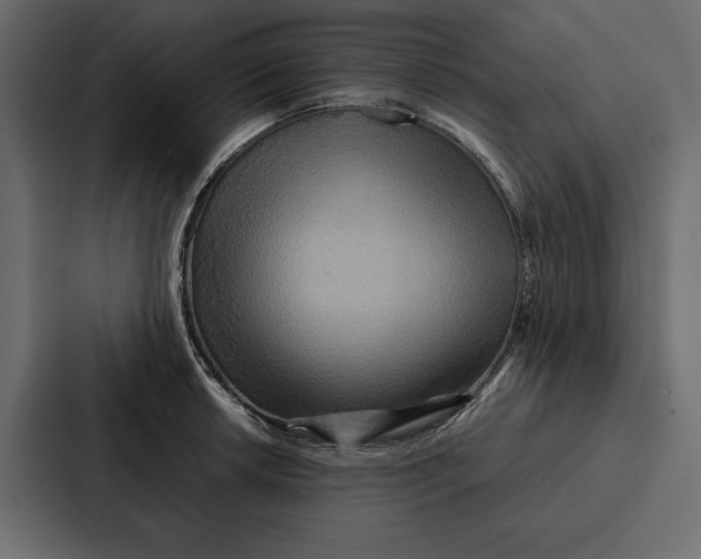 X0000086791042200705111811