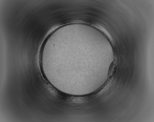 X0000086791043200705111811