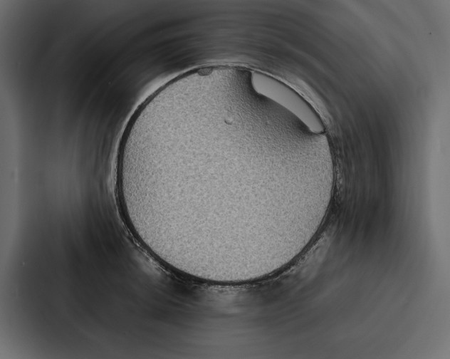 X0000086791044200705111811