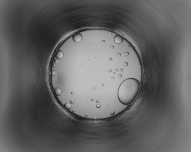 X0000086791045200705111811