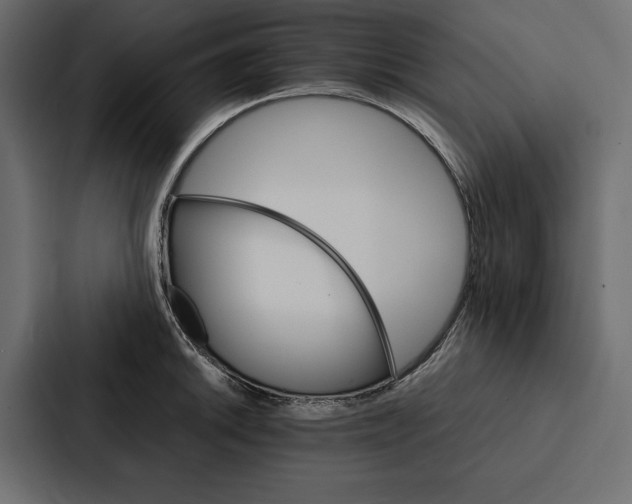 X0000086791046200705111811