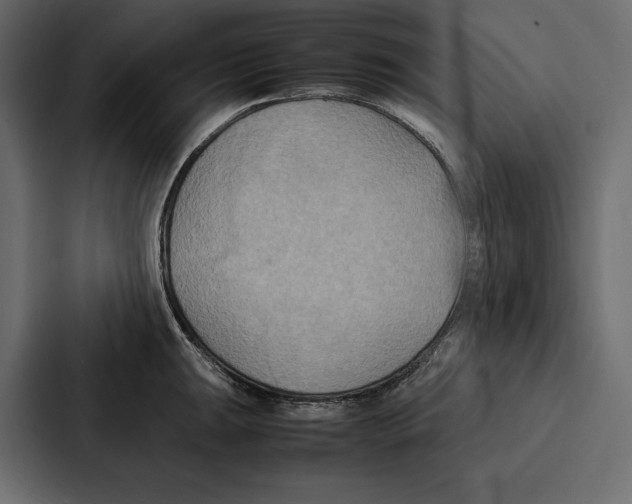 X0000086791047200705111811