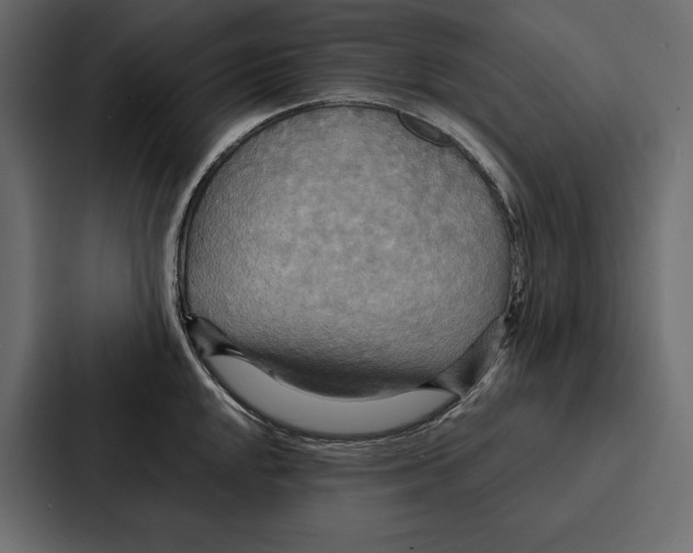 X0000086791048200705111811