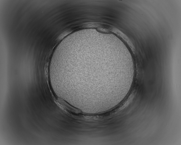 X0000086791049200705111811