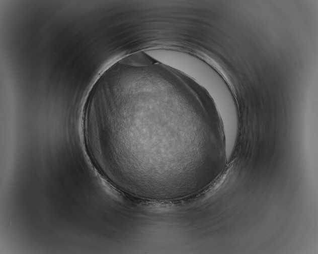 X0000086791050200705111811