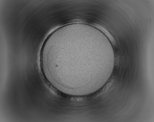 X0000086791051200705111811