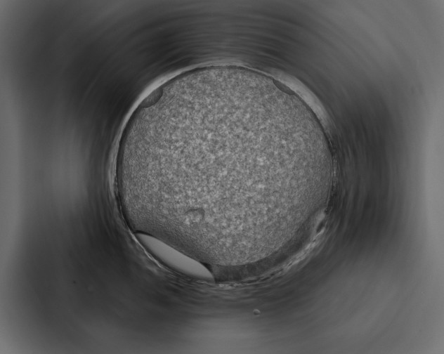 X0000086791052200705111811