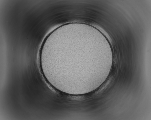 X0000086791053200705111811