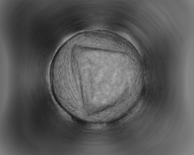 X0000086791055200705111811