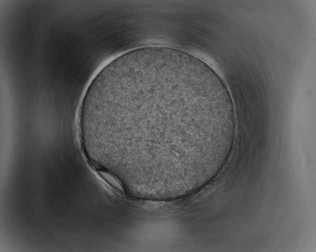 X0000086791056200705111811