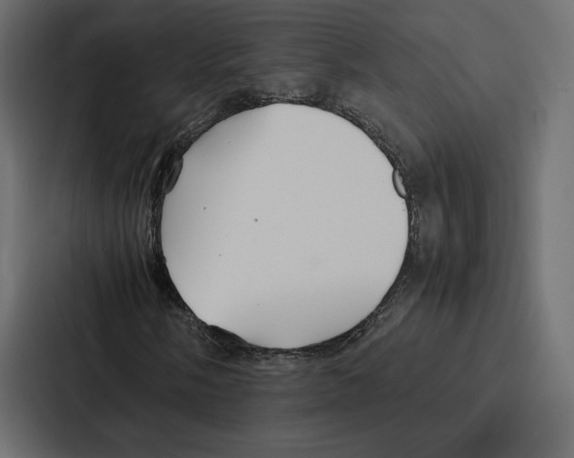 X0000086791058200705111811