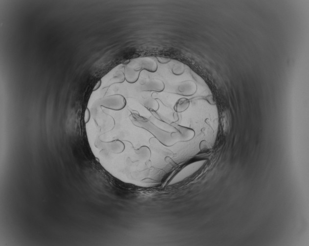 X0000086791059200705111811