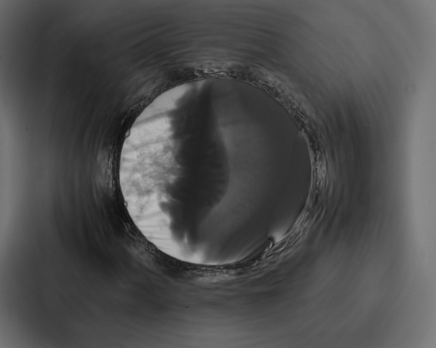 X0000086791060200705111811