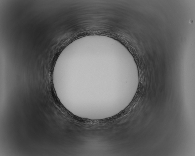 X0000086791061200705111811