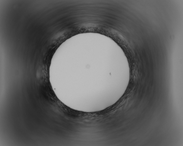 X0000086791062200705111811