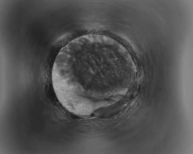 X0000086791063200705111811