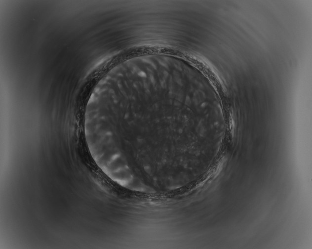 X0000086791064200705111811