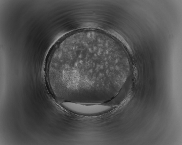 X0000086791068200705111811