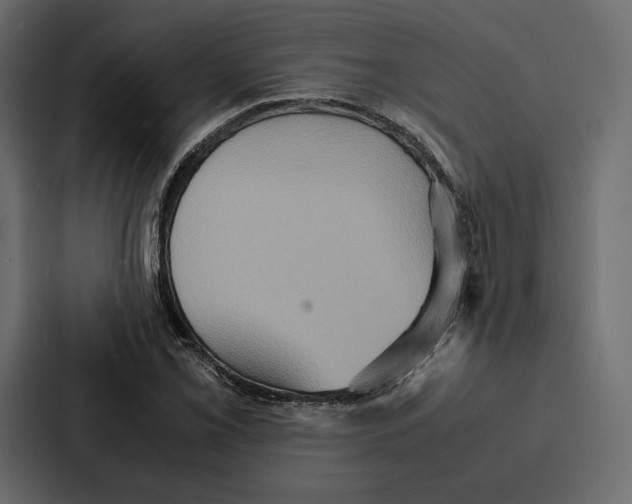 X0000086791069200705111811