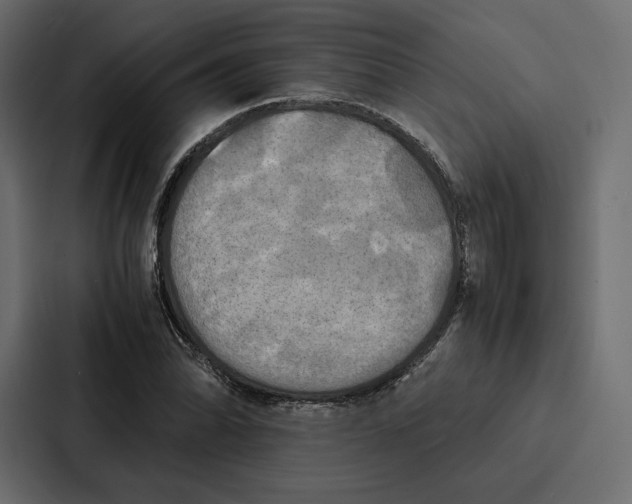 X0000086791070200705111811