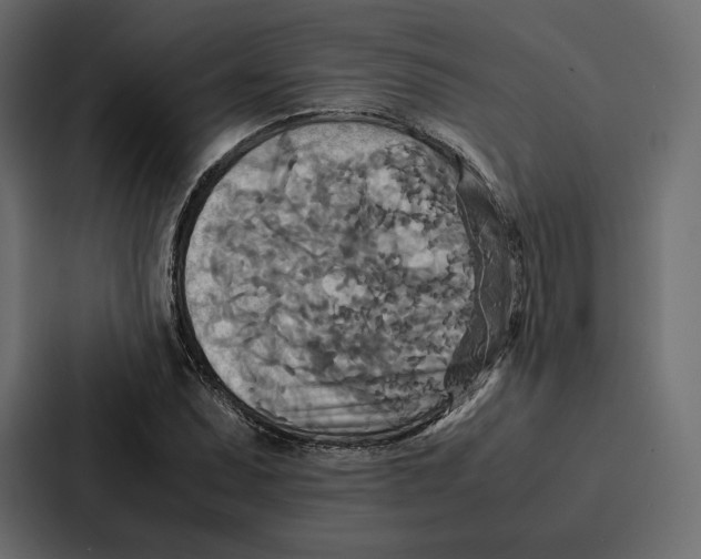 X0000086791071200705111811