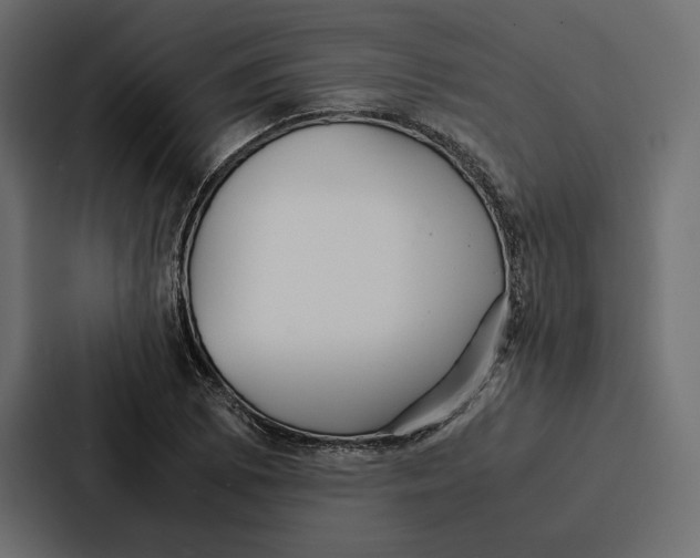 X0000086791073200705111811