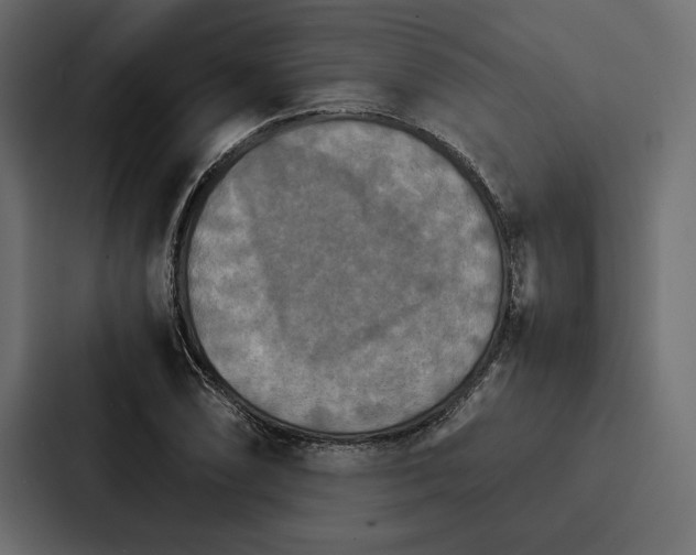 X0000086791074200705111810