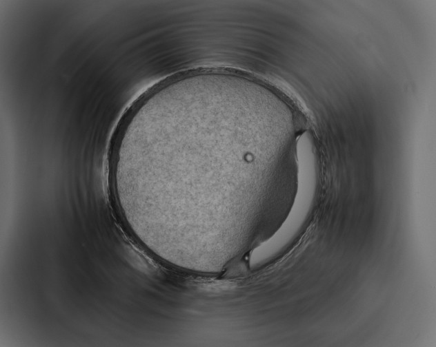 X0000086791076200705111810