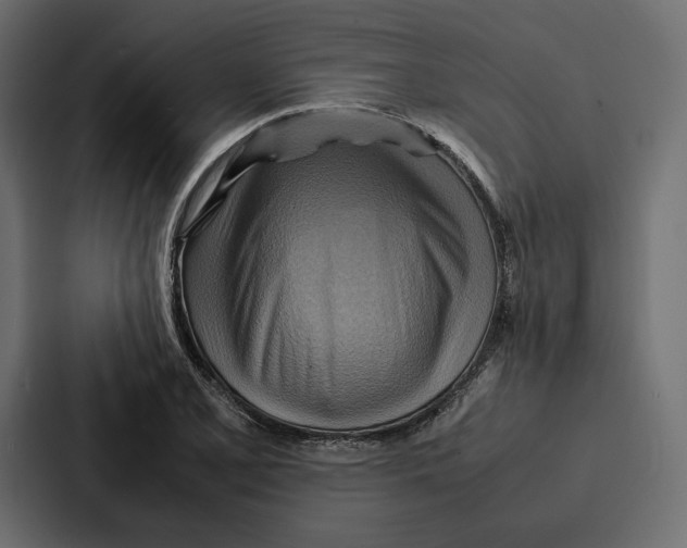 X0000086791077200705111810