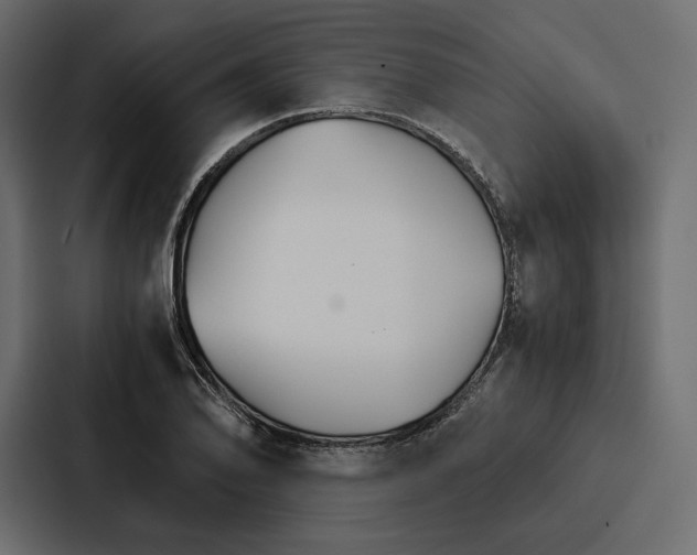 X0000086791078200705111810