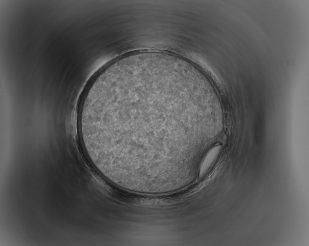 X0000086791079200705111810