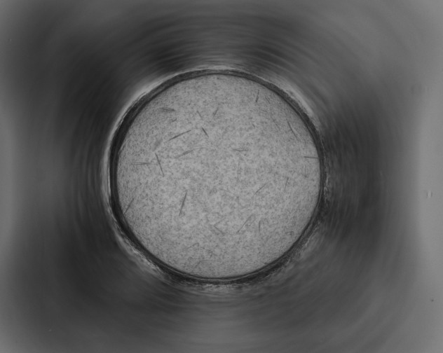 X0000086791080200705111810