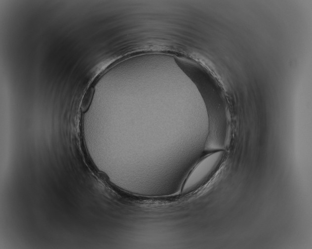 X0000086791081200705111810