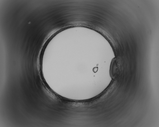 X0000086791082200705111810