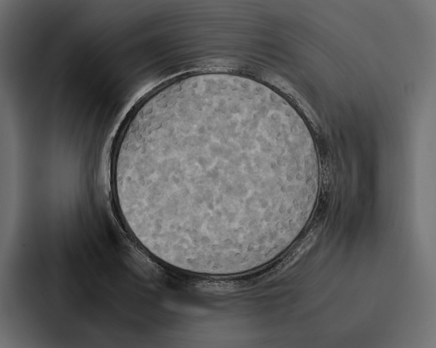 X0000086791083200705111810