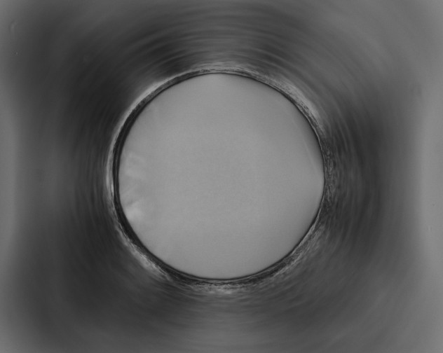 X0000086791084200705111810