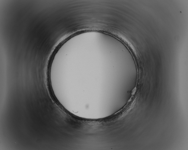 X0000086791085200705111810