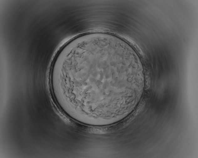 X0000086791086200705111810