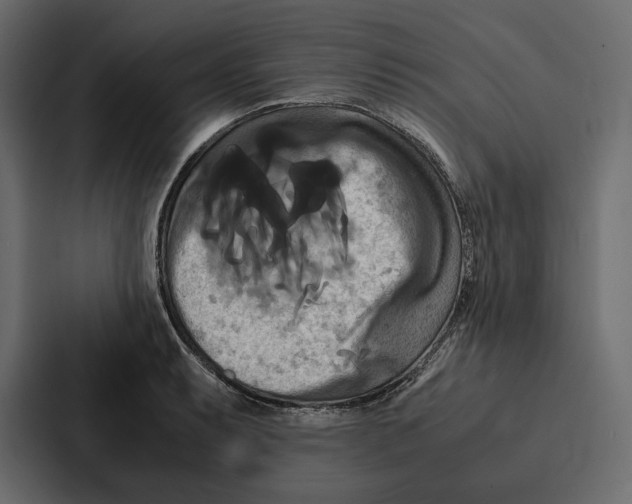 X0000086791087200705111810