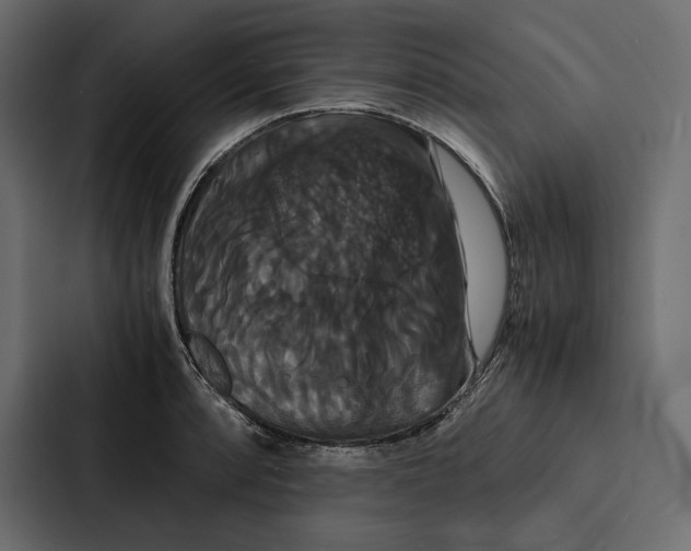 X0000086791088200705111810