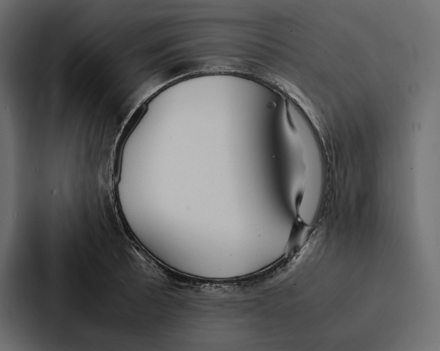 X0000086791089200705111810