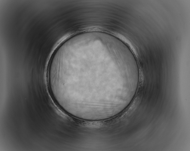 X0000086791090200705111810